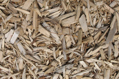 biomass boilers Brown Lees